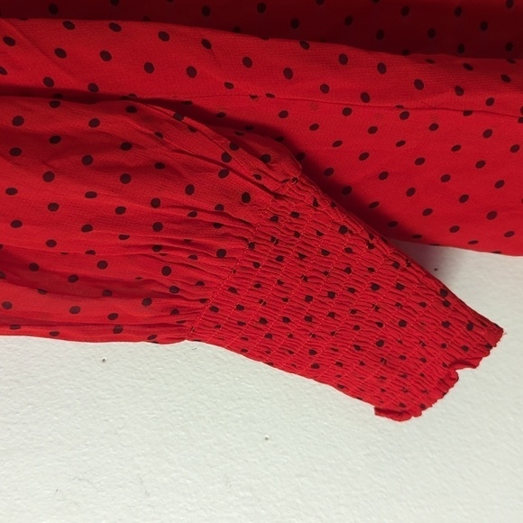 HP. Ganni Polkadot Dress - Picture 5 of 12